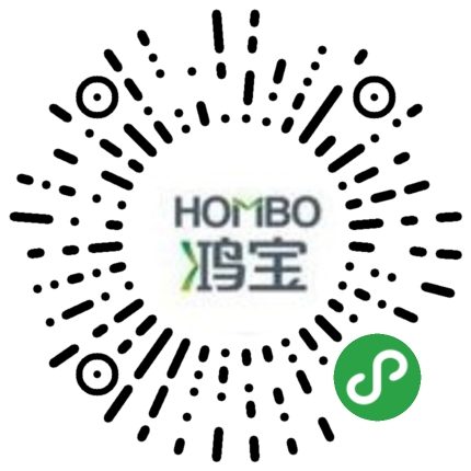 鴻寶股份